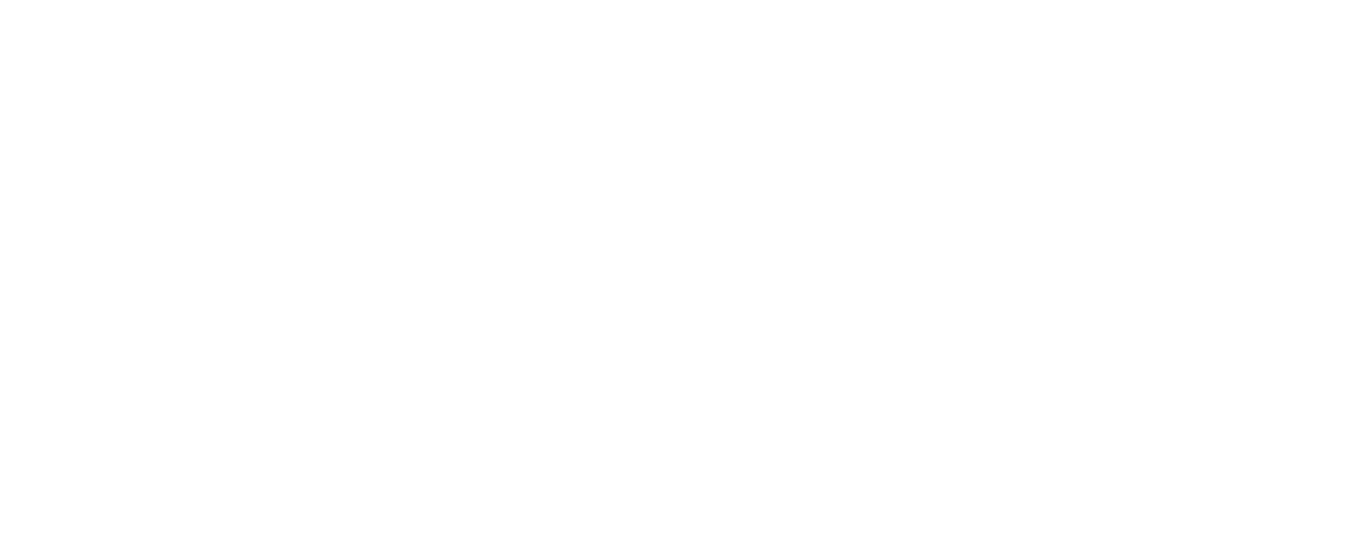 Partymaker Logo Biela